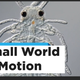 Award-Winning Microscopic Video of Growing Zebrafish Embryos Is Mesmerizing<em></em>